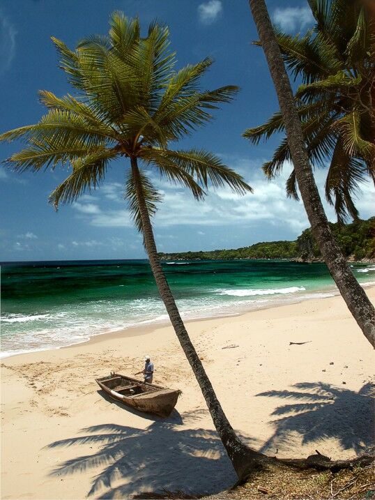 Click to See Next Image